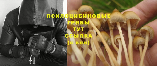 гидра Алексин