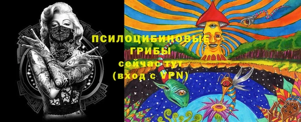 гидра Саяногорск