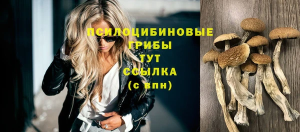 синтетический гашиш Алексеевка
